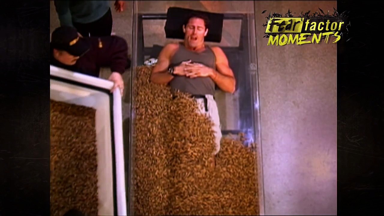 Fear Factor Moments | Worm Coffin
