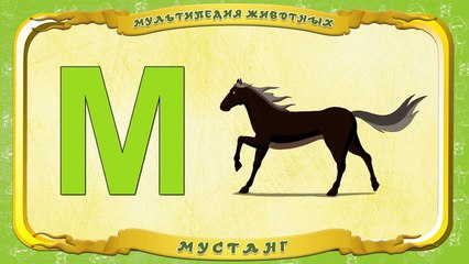 Мультипедия животных. Буква М Мустанг