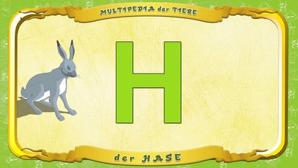 Multipedia der Tiere. Buchstabe H der Hase