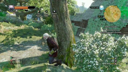 THE WITCHER 3 WALKTHROUGH PART 180 - IN WOLF'S CLOTHING