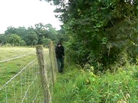 saut dans les buissons 1