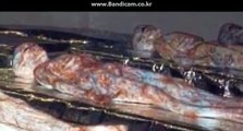UFO 추락영상과 외계인 사체들. alien body
