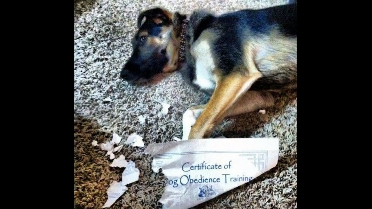 18 of The Most Ironic Moments Ever
