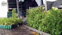 Valeriaan planten met John Deere 6610 robottrekker plantcombinatie Trekkerweb