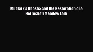 Download Mudlark's Ghosts: And the Restoration of a Herreshoff Meadow Lark Ebook Free
