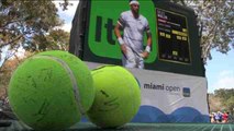 Comienza el Abierto de Tenis de Miami en pleno debate sobre la igualdad