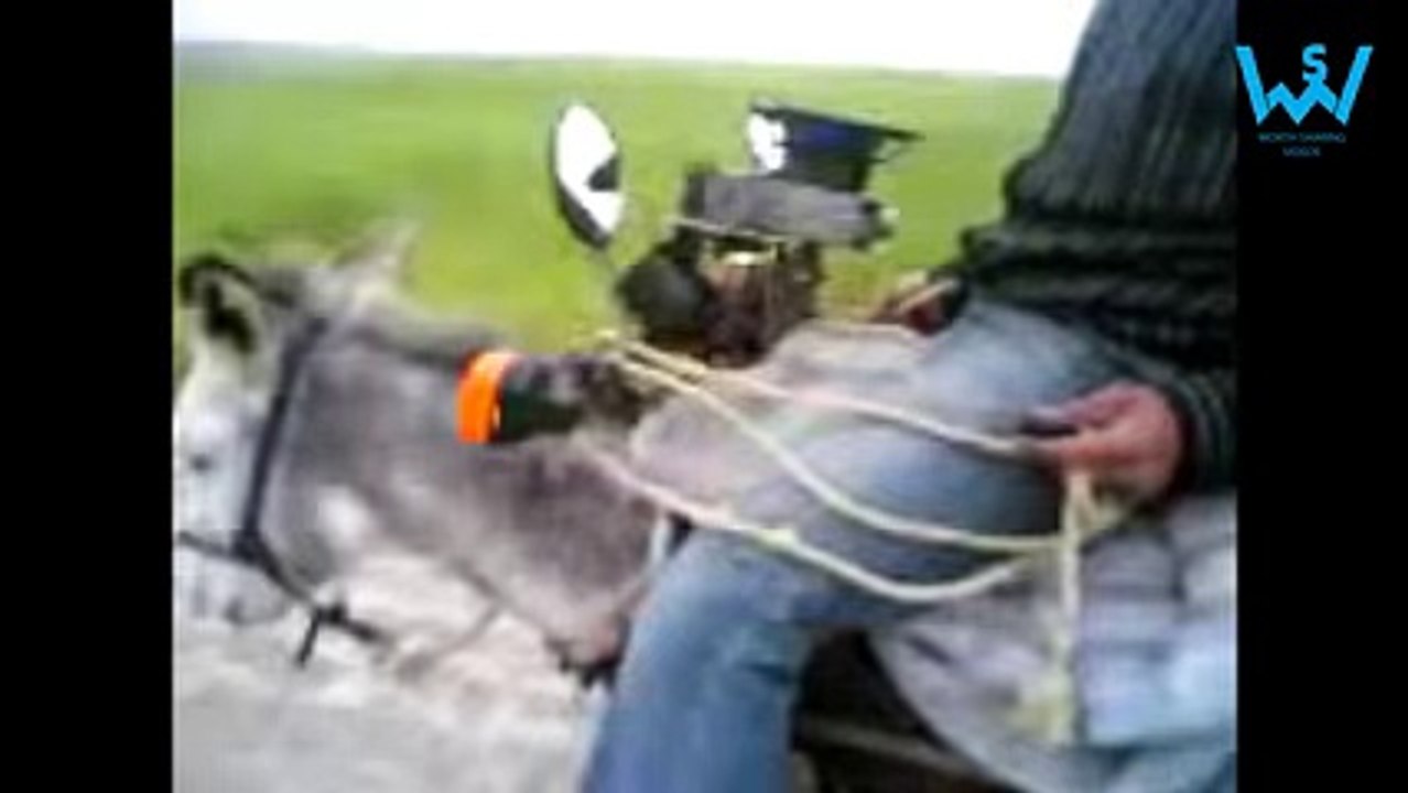 Pakistani funny videos - Videos 4 You