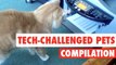 Tech-Challenged Pets || Pets vs Technology Funny Compilation