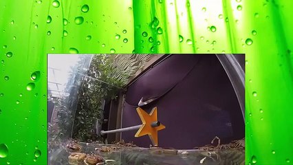 2014 - Get Me Out Of Here! FullHD 41