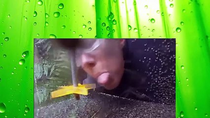 2014 - Get Me Out Of Here! FullHD 45