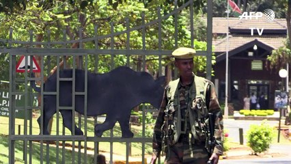 New boss aims to get Kenya's wildlife service back on track