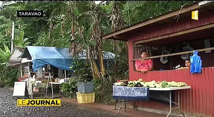 Timide retour à la normale de la production maraichère