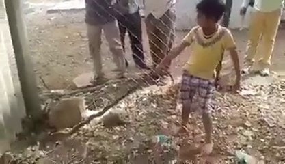 OMG!!! Kids caught a dangerous Snake