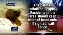 Pet Cat Terrorizes Neighborhood (DATA WORLD)