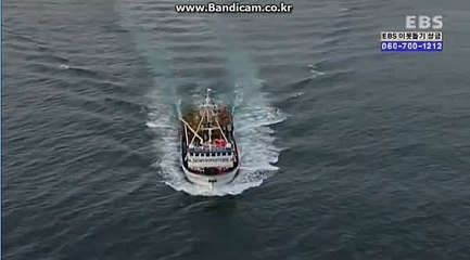 스포츠토토솔루션,토토제작,토토창업,자동마감토토솔루션,사설토토제작,토토프로그램 올자동