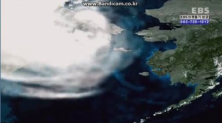 스포츠토토 솔루션 ぶ 제작해드립니다 올자동 -totobksoft.com 카톡: haricuty스카이프:haricuty