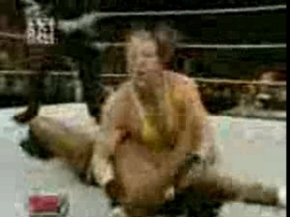 Wwe varios 6