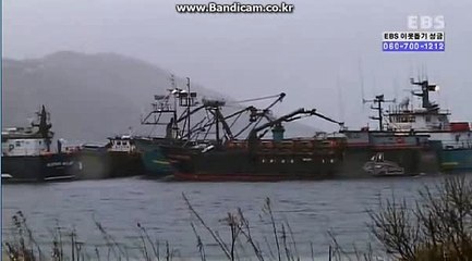 토토 제작 / 토토 사이트 제작 / 사설토토 / 토토 솔루션 올자동 み카톡: haricuty스카이프:haricuty