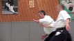 Les sélections techniques Aikido de Michel Erb Sensei Part 16 Tachi Waza Katate Dori Kaiten Nage