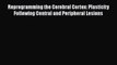 Download Reprogramming the Cerebral Cortex: Plasticity Following Central and Peripheral Lesions