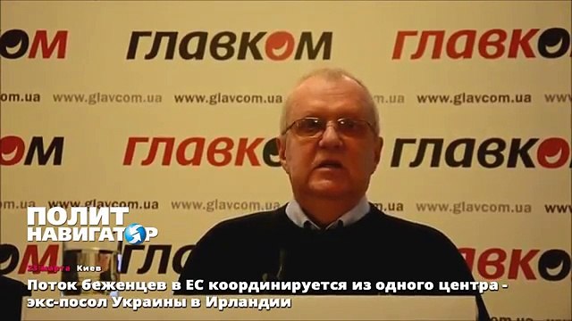 Поток беженцев в ЕС координируется из одного центра - экс-посол Украины в Ирландии