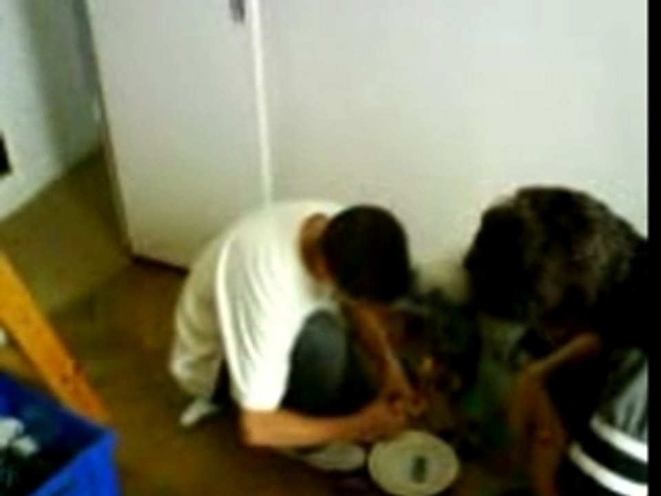 Cem qui joue au Playmobile