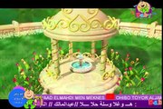 HD TOYOR Al Janna BABY HD - طيور الجنة