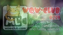 The Best Jokes and Funny Animals Compilation WOW club #0219