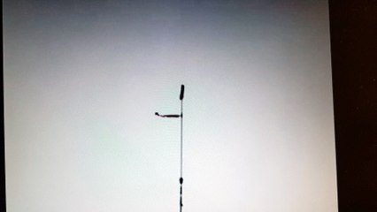 Tir à l'Oiseau : Antoine - Roitelet pour la 3ème fois