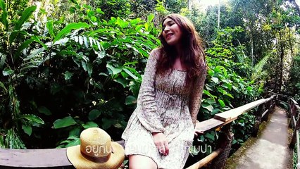 Official MV / แผ่นดินของป่า (อัลบั้ม ๙) / แฟรี่ - ศุภัคญาฏาร์