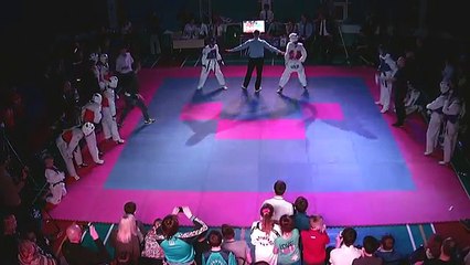 Традиційний турнір з тхеквондо пам'яті. День перший. 439