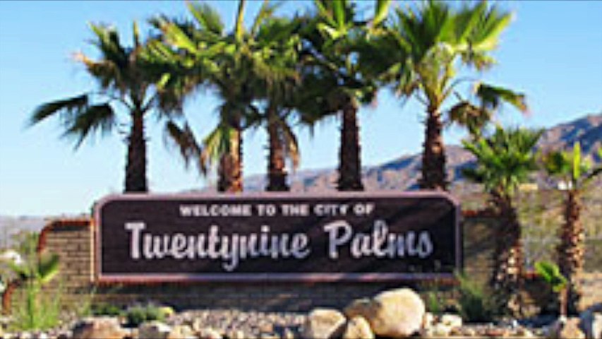 ROBERT PLANT - 29 PALMS