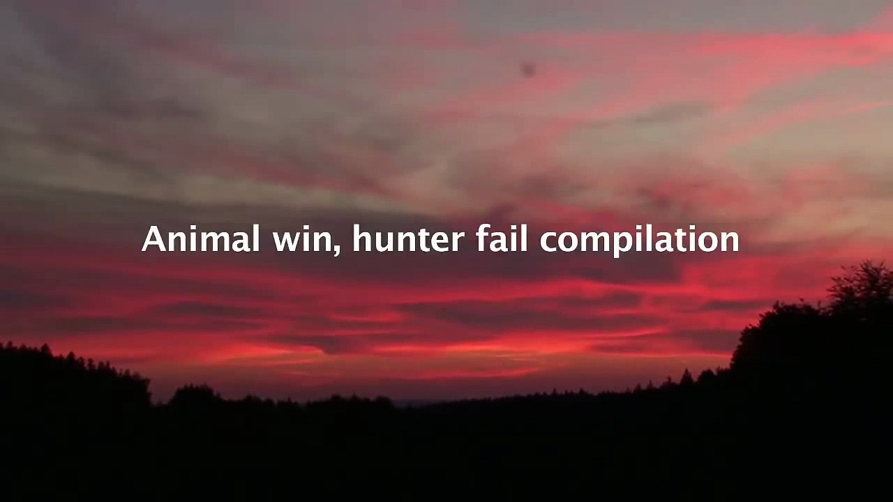 Animals Win, Hunter Fail Compilation