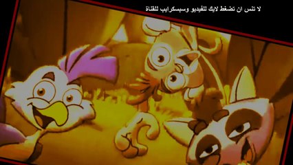 انشودة مقلوبة بدون ايقاع مضحكة الببغاء