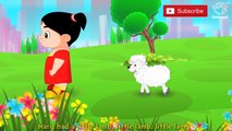 Mary Had A Little Lamb | HD Nursery Rhyme with Lyrics | Popular Nursery Rhymes
