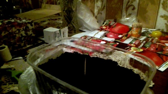 Выращивание рассады томатов и баклажан