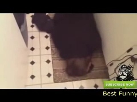 BEST Russian Drunk Girls Fail Compilation 2016 News Fails Funny Bloopers Original HD