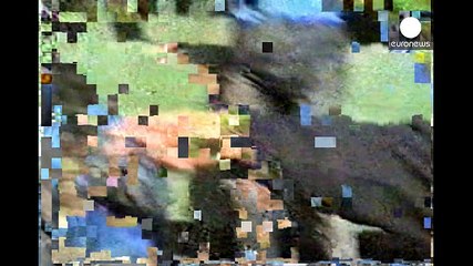 رهبر سابق صربهای بوسنی در انتظار حکم دادگاه