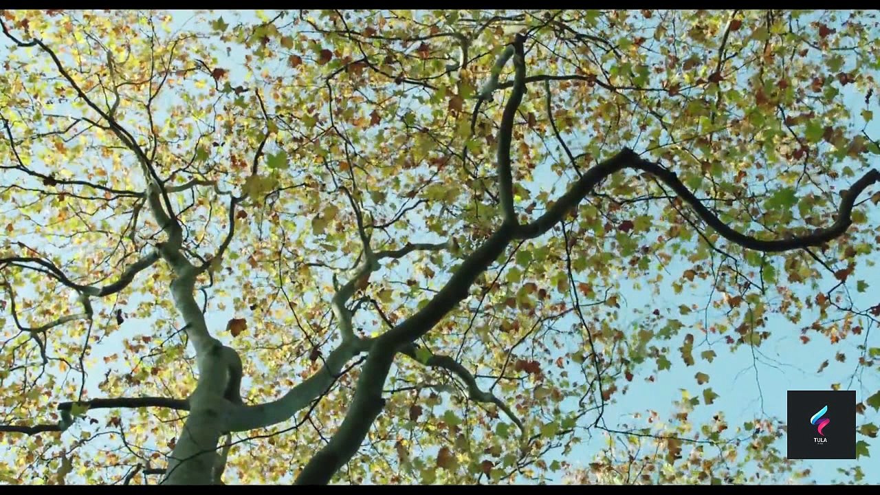 Departure (2015) Official Trailer - Juliet Stevenson, Alex Lawther, Phénix Brossard Movie