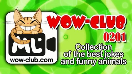 The Best Jokes and Funny Animals Compilation WOW club #0201