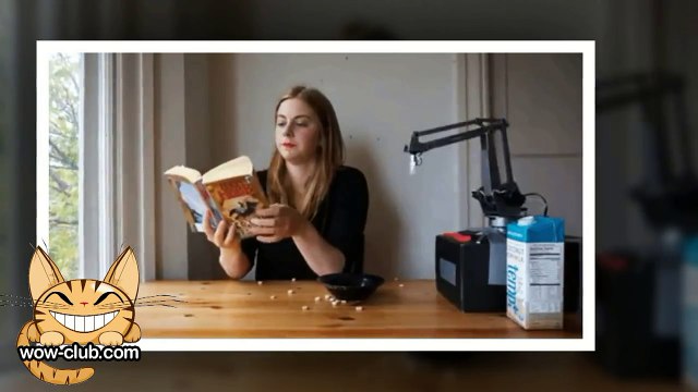 The Best Jokes and Funny Animals Compilation WOW club #0175