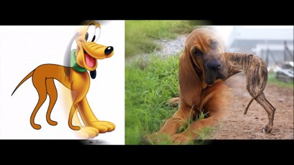 De qué raza son los perros de series y películas?