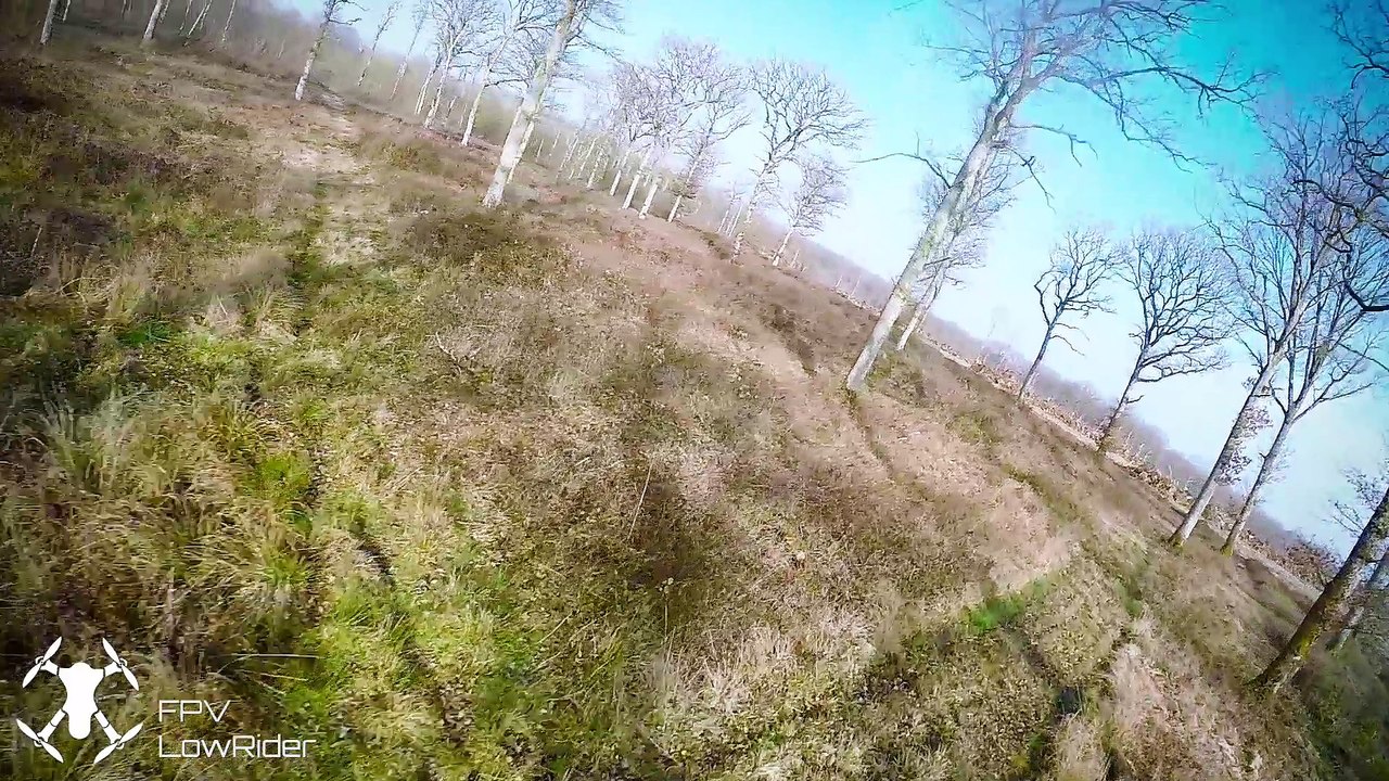 Wood training