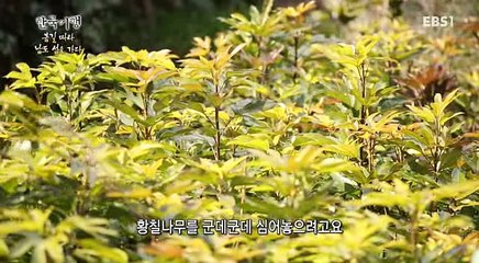 한국기행.E1643.160324