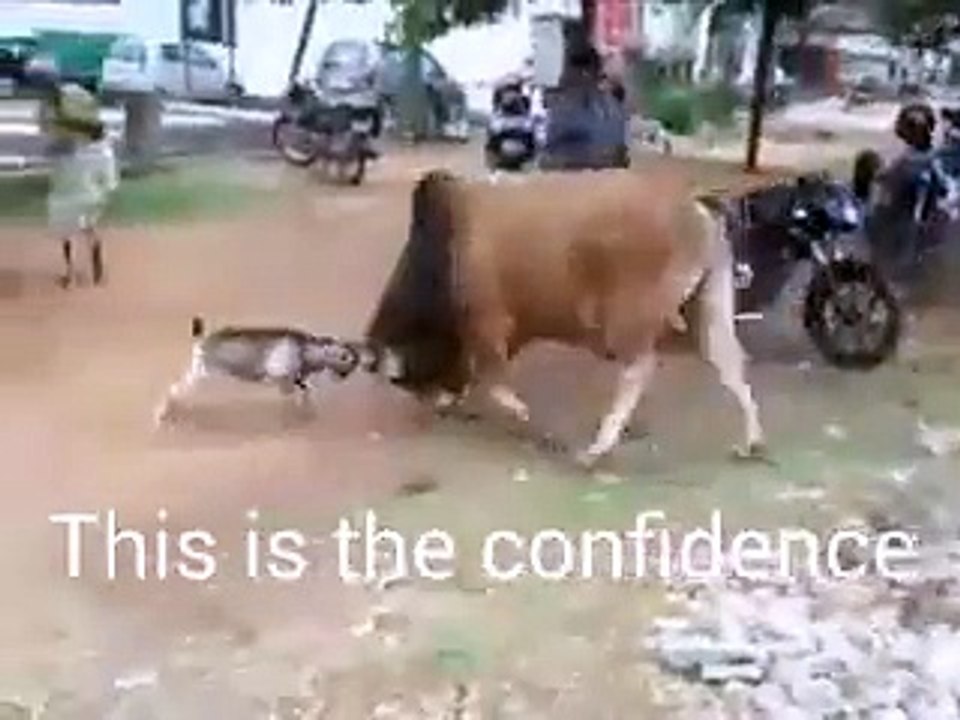 This is called confidence