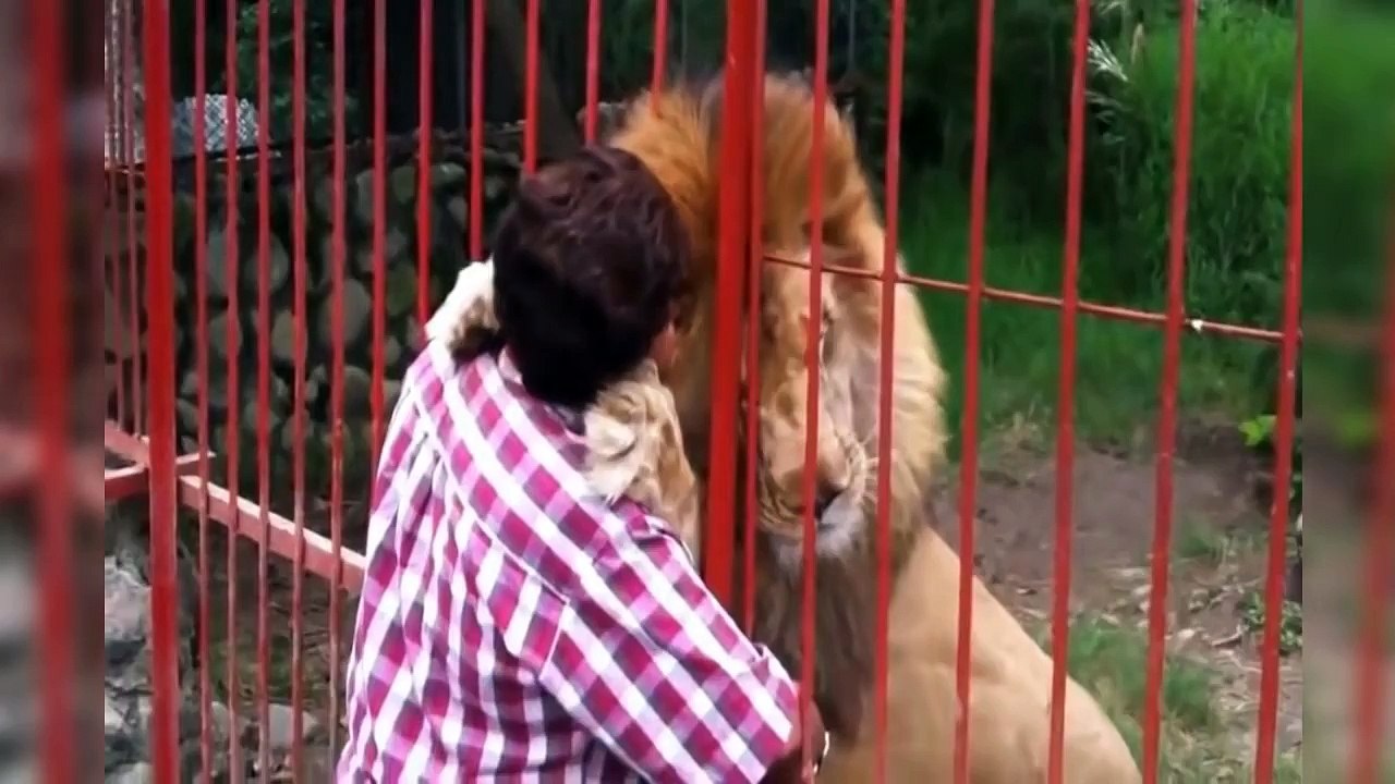 Awesome Funny Animals Compilation 2013 - 2014