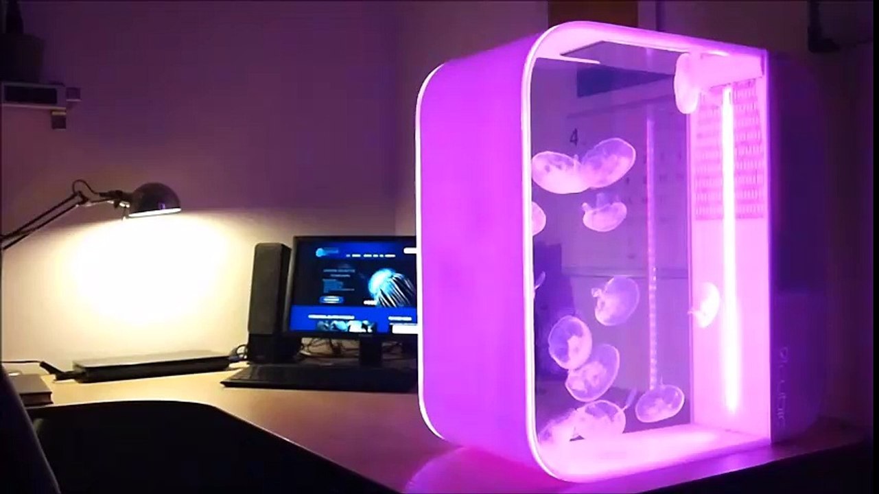 Cubic Pulse 80 Jellyfish Tank