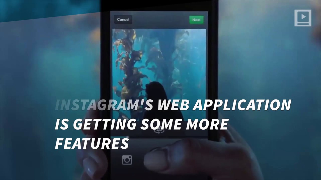 Instagram Rolls Out Web-Based Notifications