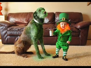 Dad turns his 6-month-old baby into a leprechaun