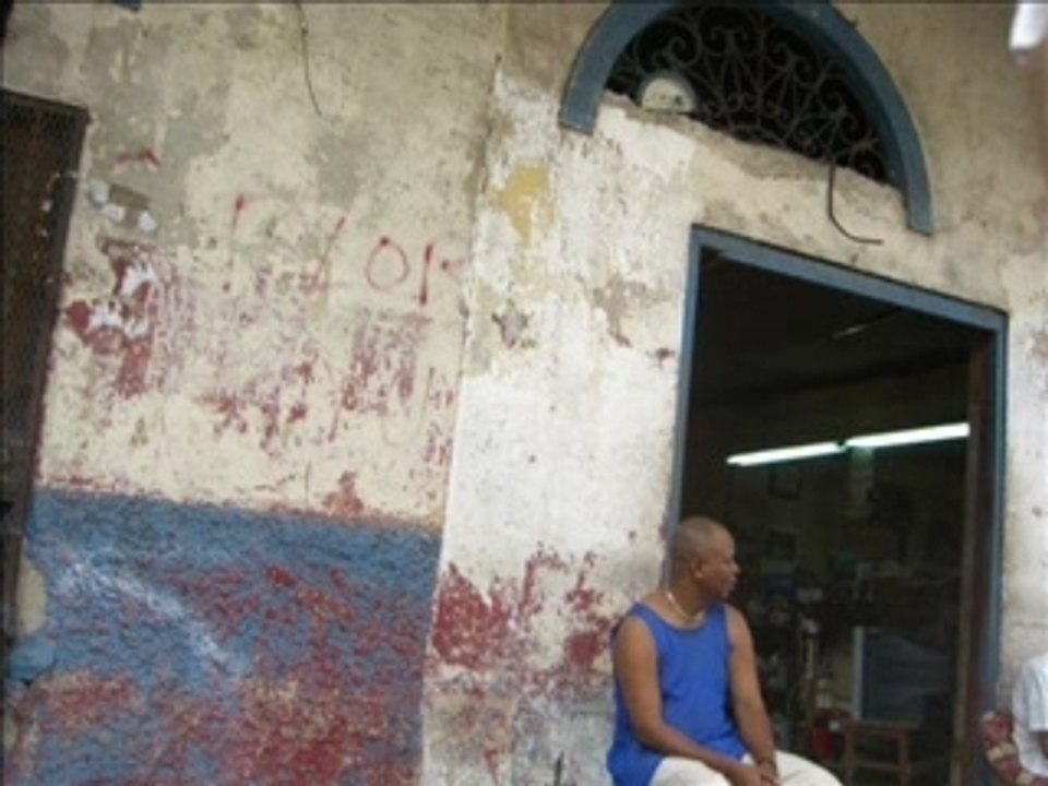 Colon Jungle Urbaine web